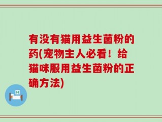 有没有猫用益生菌粉的药(宠物主人必看！给猫咪服用益生菌粉的正确方法)