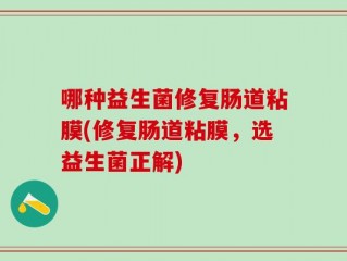 哪种益生菌修复肠道粘膜(修复肠道粘膜，选益生菌正解)
