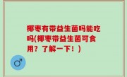 椰枣有带益生菌吗能吃吗(椰枣带益生菌可食用？了解一下！)