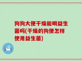 狗狗大便干燥能喝益生菌吗(干燥的狗便怎样使用益生菌)