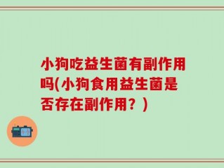 小狗吃益生菌有副作用吗(小狗食用益生菌是否存在副作用？)