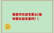 猫喜欢吃益生菌么(猫咪爱吃益生菌吗？)