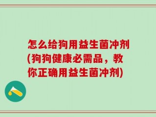 怎么给狗用益生菌冲剂(狗狗健康必需品，教你正确用益生菌冲剂)