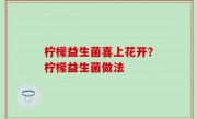柠檬益生菌喜上花开？柠檬益生菌做法