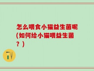怎么喂食小猫益生菌呢(如何给小猫喂益生菌？)