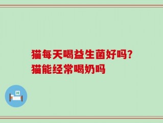 猫每天喝益生菌好吗？猫能经常喝奶吗