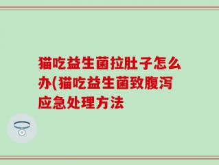 猫吃益生菌拉肚子怎么办(猫吃益生菌致腹泻应急处理方法