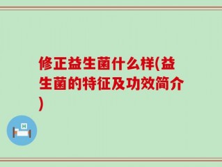 修正益生菌什么样(益生菌的特征及功效简介)