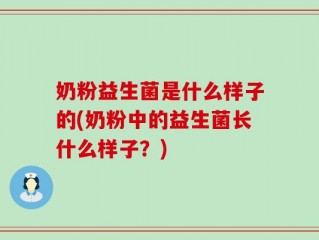 奶粉益生菌是什么样子的(奶粉中的益生菌长什么样子？)