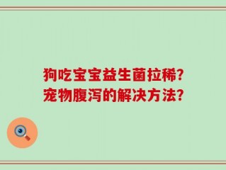 狗吃宝宝益生菌拉稀？宠物腹泻的解决方法？
