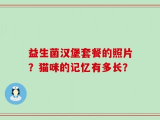 益生菌汉堡套餐的照片？猫咪的记忆有多长？