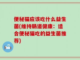 便秘猫应该吃什么益生菌(维持肠道健康：适合便秘猫吃的益生菌推荐)