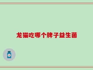 龙猫吃哪个牌子益生菌