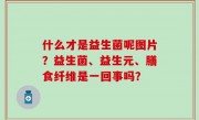 什么才是益生菌呢图片？益生菌、益生元、膳食纤维是一回事吗？