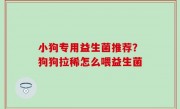 小狗专用益生菌推荐？狗狗拉稀怎么喂益生菌