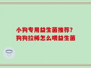 小狗专用益生菌推荐？狗狗拉稀怎么喂益生菌