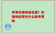 养胃的猫咪益生菌？给猫咪经常吃什么能养胃呢