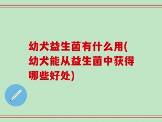 幼犬益生菌有什么用(幼犬能从益生菌中获得哪些好处)