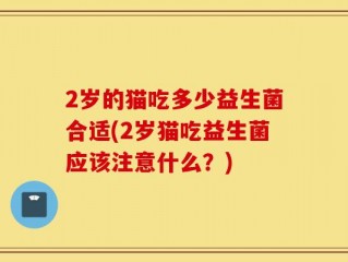 2岁的猫吃多少益生菌合适(2岁猫吃益生菌应该注意什么？)