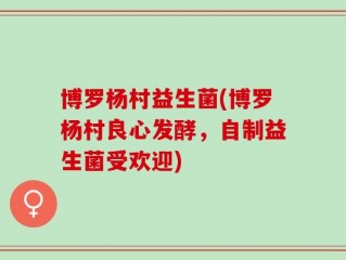 博罗杨村益生菌(博罗杨村良心发酵，自制益生菌受欢迎)