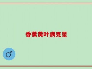香蕉黄叶病克星