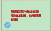 肠道接受外来益生菌(增加益生菌，改善肠道健康)