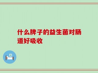 什么牌子的益生菌对肠道好吸收