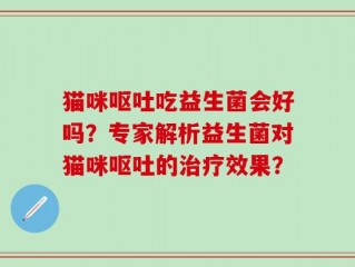 猫咪呕吐吃益生菌会好吗？专家解析益生菌对猫咪呕吐的治疗效果？