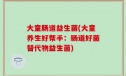 大童肠道益生菌(大童养生好帮手：肠道好菌替代物益生菌)