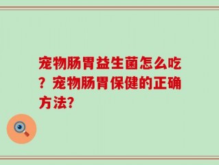 宠物肠胃益生菌怎么吃？宠物肠胃保健的正确方法？