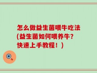 怎么做益生菌喂牛吃法(益生菌如何喂养牛？快速上手教程！)