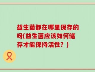益生菌都在哪里保存的呀(益生菌应该如何储存才能保持活性？)