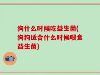 狗什么时候吃益生菌(狗狗适合什么时候喂食益生菌)