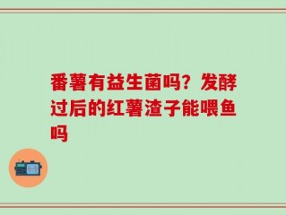 番薯有益生菌吗？发酵过后的红薯渣子能喂鱼吗