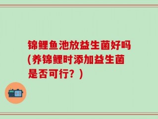 锦鲤鱼池放益生菌好吗(养锦鲤时添加益生菌是否可行？)