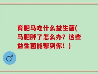 育肥马吃什么益生菌(马肥胖了怎么办？这些益生菌能帮到你！)