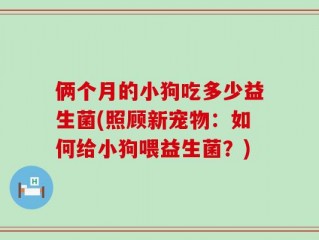 俩个月的小狗吃多少益生菌(照顾新宠物：如何给小狗喂益生菌？)