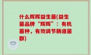 什么辉辉益生菌(益生菌品牌“辉辉”：有机菌种，有效调节肠道菌群)