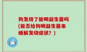 狗发烧了能喝益生菌吗(能否给狗喝益生菌来缓解发烧症状？)