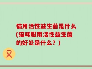 猫用活性益生菌是什么(猫咪服用活性益生菌的好处是什么？)