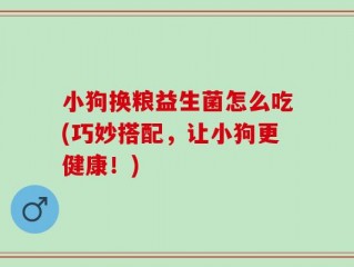 小狗换粮益生菌怎么吃(巧妙搭配，让小狗更健康！)