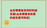 山东哪里能买到好的益生菌(山东哪里有优质的益生菌可购买)