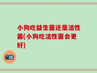 小狗吃益生菌还是活性菌(小狗吃活性菌会更好)