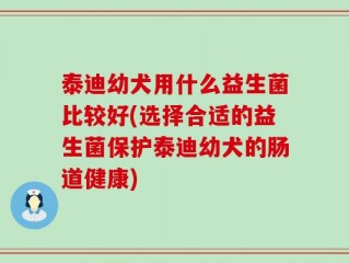 泰迪幼犬用什么益生菌比较好(选择合适的益生菌保护泰迪幼犬的肠道健康)