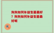 狗狗如何补益生菌最好？狗狗如何补益生菌最好呢