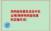 狗狗益生菌生活当中怎么喂(喂养狗狗益生菌的正确方法)