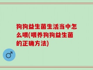 狗狗益生菌生活当中怎么喂(喂养狗狗益生菌的正确方法)