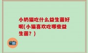 小奶猫吃什么益生菌好呢(小猫喜欢吃哪些益生菌？)