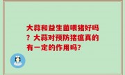 大蒜和益生菌喂猪好吗？大蒜对预防猪瘟真的有一定的作用吗？