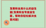 发黄粉虫用什么的益生菌(发黄粉虫专属益生菌，帮助你轻松解决虫害问题)
